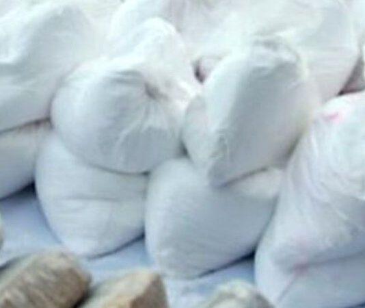 Smantellato traffico cocaina, 21 arresti