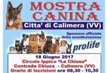 Mostra canina 18 giugno