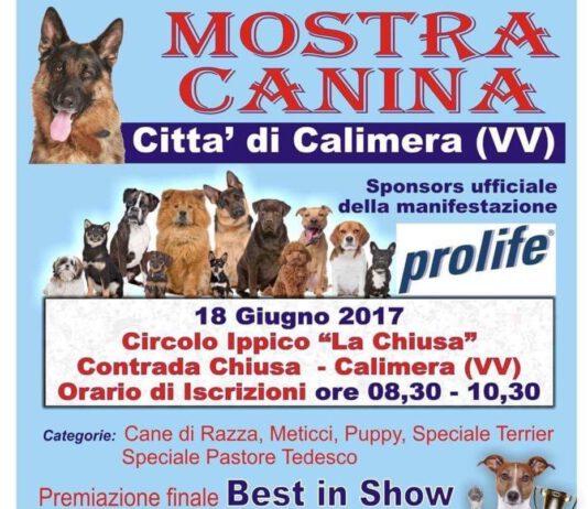 Mostra canina 18 giugno