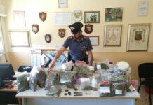 Scoperta serra marijuana, arrestati padre e figlio