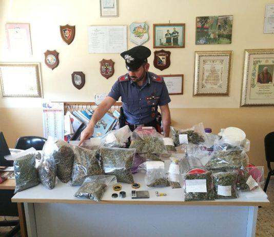 Scoperta serra marijuana, arrestati padre e figlio