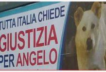 Condannati assassini del cane Angelo
