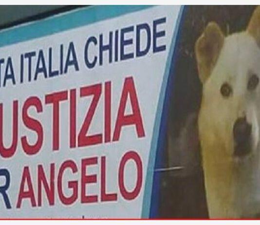 Condannati assassini del cane Angelo