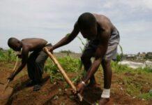 Migranti sfruttati in centri d’accoglienza, operazione dei carabinieri in Calabria