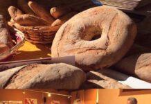 Altomonte- la Comunità dei grani antichi ed i mulini a pietra attivi presenta la legge regionale