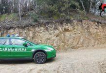 Bosco distrutto, denunciato 51enne