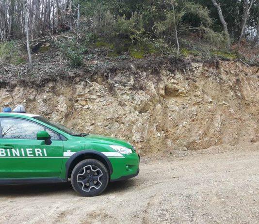 Bosco distrutto, denunciato 51enne