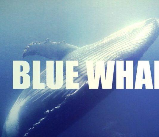 Consigli uso Pc e Blue Whale, la soluzione esiste si chiama “Genitore 2.0”