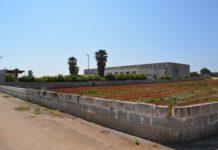 Gioia Tauro, ulteriore attacco agli interessi economici della cosca Piromalli