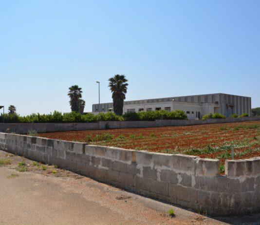 Gioia Tauro, ulteriore attacco agli interessi economici della cosca Piromalli