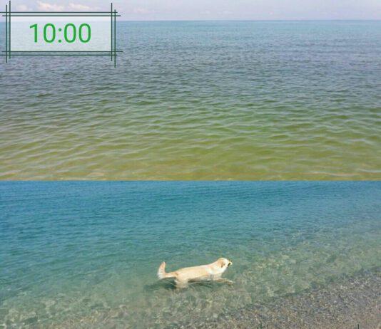 Comitato 7 agosto San Ferdinando : “Mare, torna l’estate e pure le strisce colorate”
