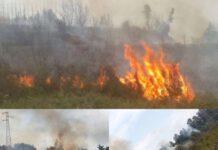 Incendio nei pressi del Porto di Gioia Tauro