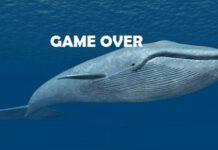 Sedicenne calabrese istiga coetanea a “giocare” Blue Whale- denunciato