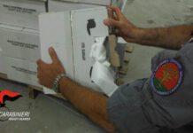 Carabinieri forestali: è guerra agli shoppers illegali