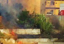 Rosarno, incendio costone Via Sottotenente Gangemi