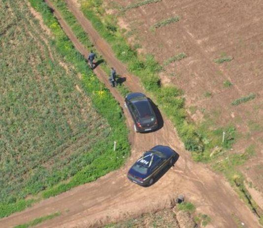 Interdetto Presidente Confagricoltura