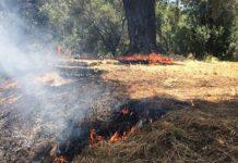 Gioia Tauro- furti e danneggiamenti in terreni confiscati ‘Ndrangheta