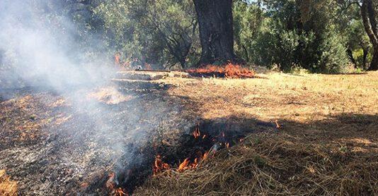 Gioia Tauro- furti e danneggiamenti in terreni confiscati ‘Ndrangheta