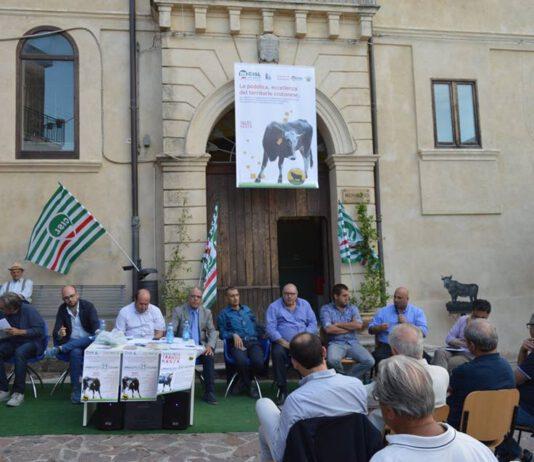 Una festa per rinnovare il rito della transumanza a Umbriatico