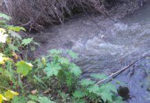 Rosarno, Forza Italia 2.0: Amministratori incapaci e maestri di violazione della legge