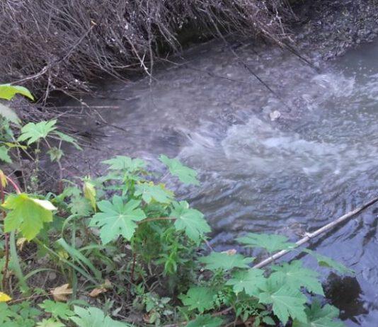 Rosarno, Forza Italia 2.0: Amministratori incapaci e maestri di violazione della legge