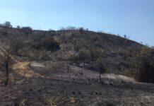 Incendi sul Territorio : la FIDELITAS si mobilita in favore dei cittadini