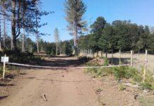 Lavori abusivi all’interno del Parco Nazionale Aspromonte- una persona deferita