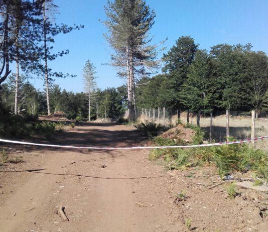 Lavori abusivi all’interno del Parco Nazionale Aspromonte- una persona deferita