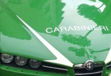 Sorpreso a bruciare rifiuti speciali, arrestato