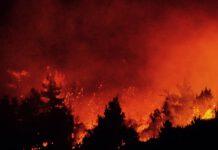 Ancora incendi in Calabria, evacuato villaggio turistico