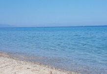 San Ferdinando- Mare, al via la ricerca della verità