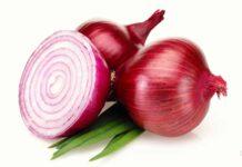 Zmedica: La cipolla e i suoi effetti sull’organismo