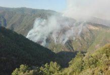 Provoca incendio Parco Sila, denunciato