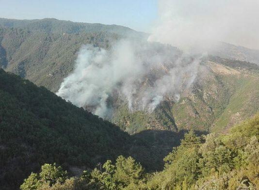 Provoca incendio Parco Sila, denunciato