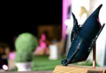 Rizziconi appuntamento con l’arte e la cultura- Premio Elmo