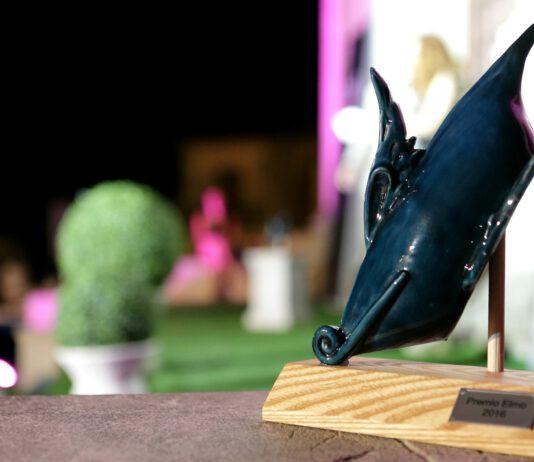 Rizziconi appuntamento con l’arte e la cultura- Premio Elmo