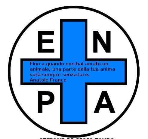 ENPA Gioia Tauro presenta #BASTASCUSE, campagna di sterilizzazione