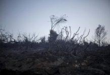 Trovato cadavere di un pensionato- probabile vittima di incendi