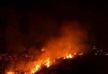 La Calabria brucia- incendi da nord a sud