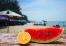 Zmedica: I migliori cibi da portare in spiaggia