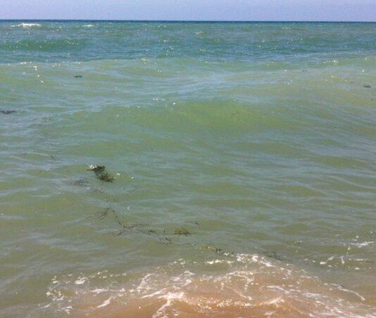 Situazione allarmante mare Nicotera, San Ferdinando- comitato cittadini presenta ennesimo esposto