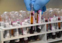 Falsifica rapporti su alimenti, interdetto