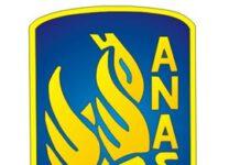 Numero Anas per segnalazioni animali vaganti o in pericolo su strade