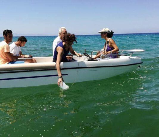 San Ferdinando, Comitato 7 Agosto: analisi in mare, Missione compiuta