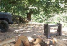 Disboscano area senza autorizzazione- denunciati