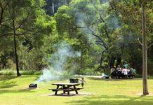 Il pranzo di Ferragosto versione calabrese, calcolo semiserio delle calorie che accumuleremo