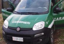Scoperti a rubare piante in riserva naturale- arrestati