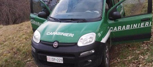 Scoperti a rubare piante in riserva naturale- arrestati