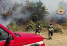 La Calabria brucia- Il sindaco in lacrime: “A breve brucerà l’intero paese”