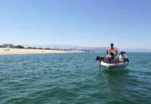 San Ferdinando, arrivate le analisi delle acque di mare. I risultati